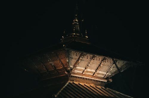 pexels-photo-10272295