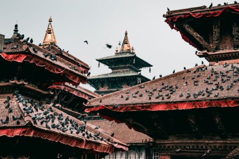 pexels-photo-2104882